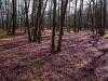 Foto: Erich Obrist