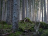 Foto: Edeltraud Andergassen