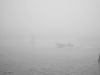Fahrt durch den Nebel - Alex P.