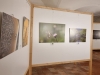 Ausstellung