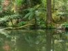 im Terra-Nostra-Park