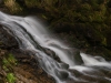 Foto: Helmuth Pliger