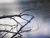 am-arbersee