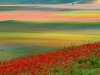 castelluccio-2020-1