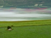 castelluccio-2020-10