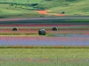 castelluccio-2020-12