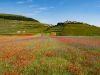 castelluccio-2020-15