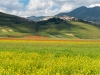 castelluccio-2020-3