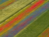 castelluccio-2020-9