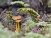 pilz10