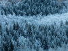 Foto: Helmuth Pliger