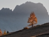 dolomiten-im-herbst-19-toni-jaitner-10