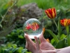 edeltraud_lensball-2