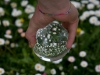 edeltraud_lensball