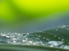 Wasserperlen - Nicole E.
