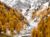 Herbst in Langtaufers 2 toni jaitner