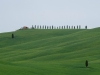 Helmuth Pliger, Val d'Orcia