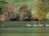 panorama am haider see