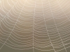 netz
