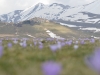 Castelluccio 2017