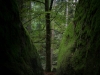 hoellbach-1