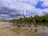 donauufer-karinbellutti