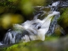 Sausbachklamm