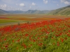 Castelluccio - Karlheinz Hell