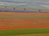 Castelluccio - Karlheinz Hell