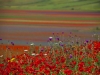 Castelluccio - Karlheinz Hell