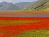 Castelluccio - Karlheinz Hell