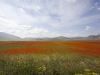 Castelluccio - Karlheinz Hell