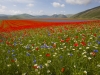 Castelluccio - Karlheinz Hell