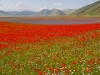 Castelluccio - Karlheinz Hell