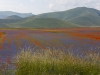 Castelluccio - Karlheinz Hell