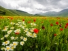 Castelluccio 1