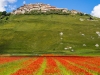 Castelluccio 6