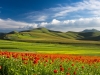 Castelluccio 7