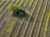 Toskana im Herbst 2013