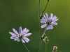 fotoclub3