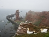 helgoland-6