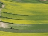 gelb - grün in Casteluccio