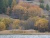img_5974