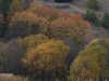 img_5981