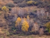 2_herbst-im-biotop_ambach-hermann