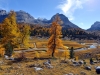 3_herbst-in-gross-fanes-ambach-hermann