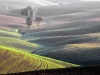 9_val-d-orcia_ambach-hermann