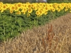 website_fa_kaltern04