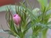 Edeltraud_Bild 1