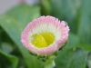 Edeltraud_Bild 2